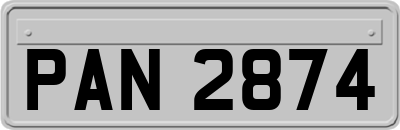 PAN2874