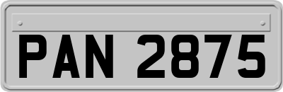 PAN2875