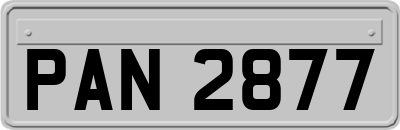 PAN2877