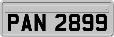 PAN2899