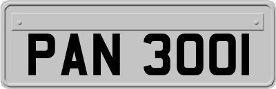 PAN3001