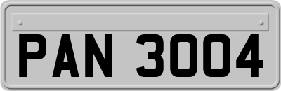 PAN3004