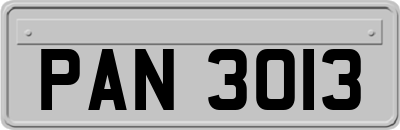 PAN3013