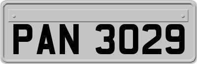 PAN3029