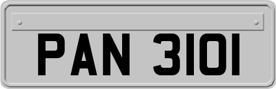 PAN3101