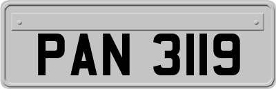 PAN3119
