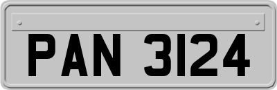 PAN3124