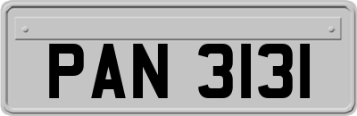 PAN3131