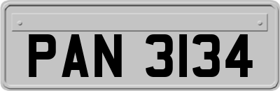 PAN3134
