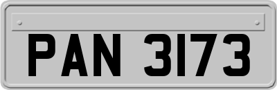 PAN3173