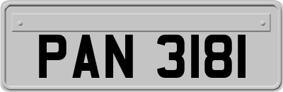 PAN3181