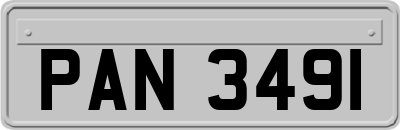 PAN3491