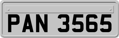 PAN3565