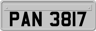 PAN3817