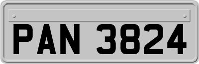 PAN3824