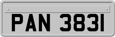 PAN3831