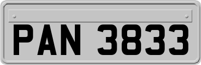 PAN3833