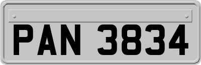 PAN3834