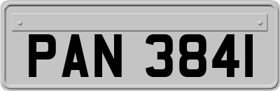PAN3841