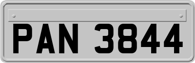 PAN3844