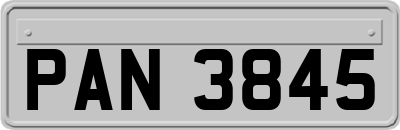 PAN3845