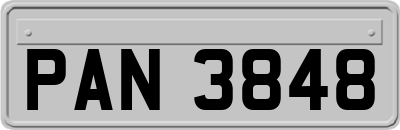 PAN3848