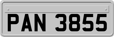 PAN3855