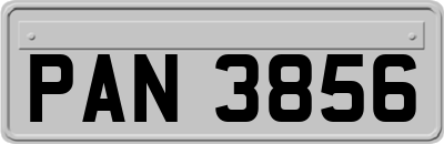 PAN3856