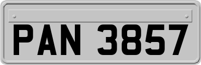 PAN3857