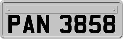 PAN3858