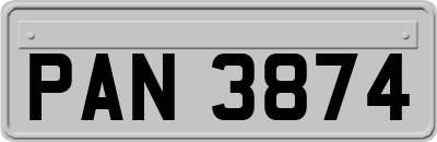PAN3874