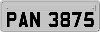PAN3875