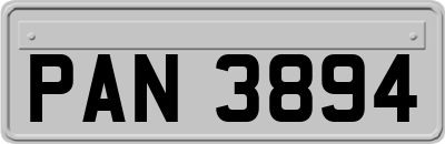PAN3894