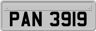 PAN3919