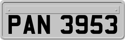 PAN3953