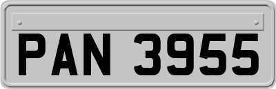PAN3955