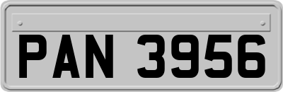PAN3956