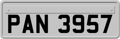 PAN3957