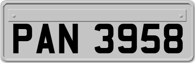 PAN3958