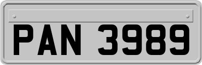 PAN3989