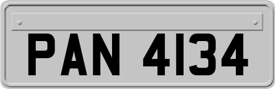 PAN4134