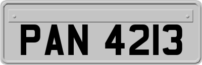 PAN4213