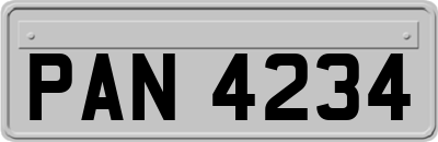 PAN4234