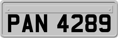 PAN4289