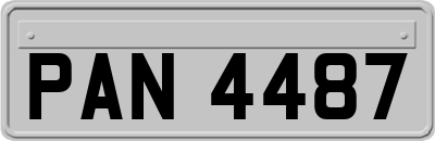 PAN4487