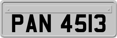 PAN4513