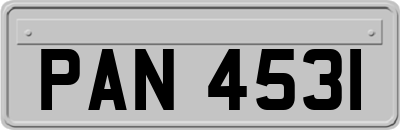 PAN4531