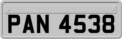 PAN4538