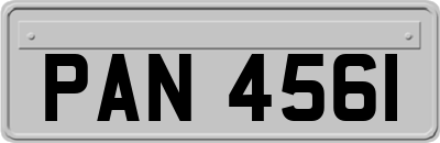 PAN4561