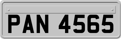 PAN4565